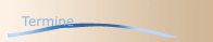 Termine